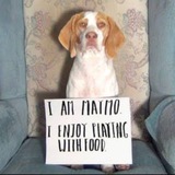 $MAYMO the lemon beagle