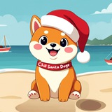 Chill Santa Doge