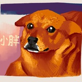 Xiaopang Chinese Dog