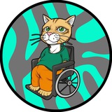 Wheelchair Cat | Portal