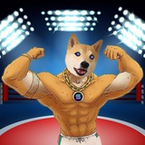 YUMI DOG | PORTAL