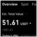 51.61 Memecoin chat