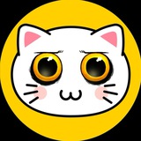 KIKI CAT PORTAL