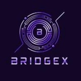 BridgeX