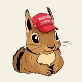 Peanut Wifi Hat (CTO)