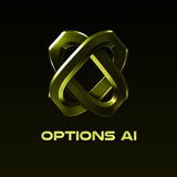 Options AI Portal