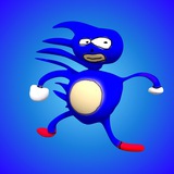 SANIC Portal
