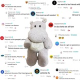 Petunia CTO portal