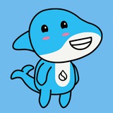 BullShark - Portal