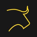 SF INVESTING | Академия инвестиций от SF Education