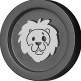 New LIONS Group