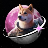$MOONDOGE Portal