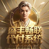 盛丰-畅联代付系统-频道