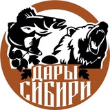 ДАРЫ СИБИРИ 54