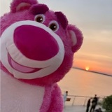 lotso🧸