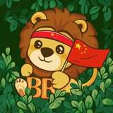 BabyBuildon $BB Chinese 🇨🇳