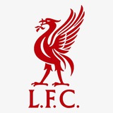 LIVERPOOL FAN