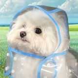 Coat Dog Portal