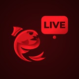 Пиранья | Live