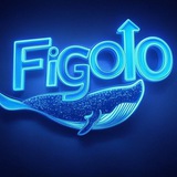 FIGO_4PS ÇALLS