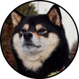 $SORA COMMUNITY