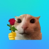 Telegram fulfills dreams