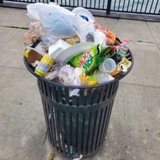 TRASH COIN