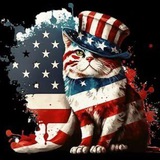 American Party Cat - Sol