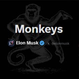#MONKEYS PORTAL