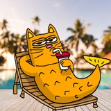 PONCAT