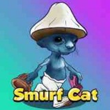 Smurf Cat