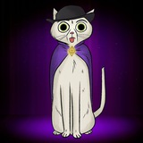 CATSINGTON | Portal
