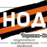 Воронеж НОД -"за Победу"