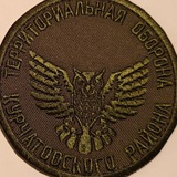 Территориальная оборона Курчатовского района