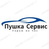 Пушка Сервис Автосервис самообслуживания Пушкино