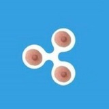 Nipple XRP Portal
