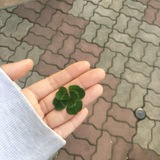 ،،🐢ೇ 한 ; chezzy ᝰ . . .