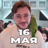 саппорт Джарахов