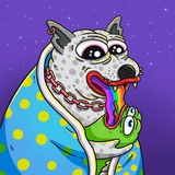 DOGO THE DOG