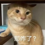 sakura丨备用资源
