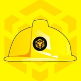 BOBHAT CTO