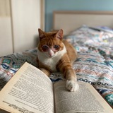 Муркотека 🐾