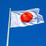 🇯🇵東京大阪夜樱會 - 入門指南