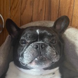 Stinky’s Telegram