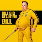 KILL BIG BEAUTIFUL BILL （CTO）