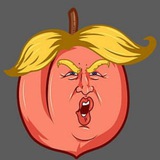Impeach Trump Again CTO