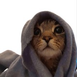 PROPHET PORTAL
