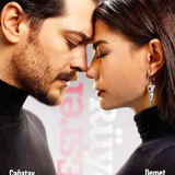 سریال اشرف رویا