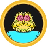 $ACID FROG BSC