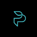 PerpX